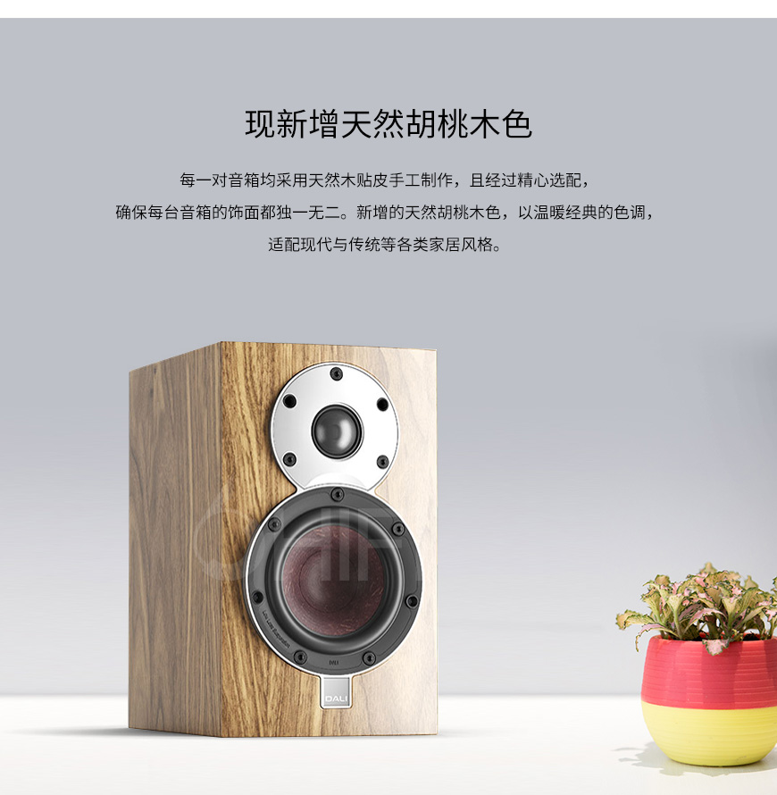 丹麦 达尼DALI 皇太子MENUET SE,达尼DALI MENUET SE,DALI 皇太子MENUET SE,DALI MENUET SE 书架箱