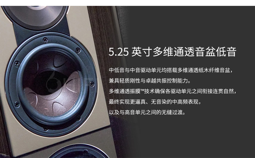 丹麦 达尼DALI 声刻SONIK1，达尼DALI SONIK1 书架箱，DALI SONIK1 书架箱