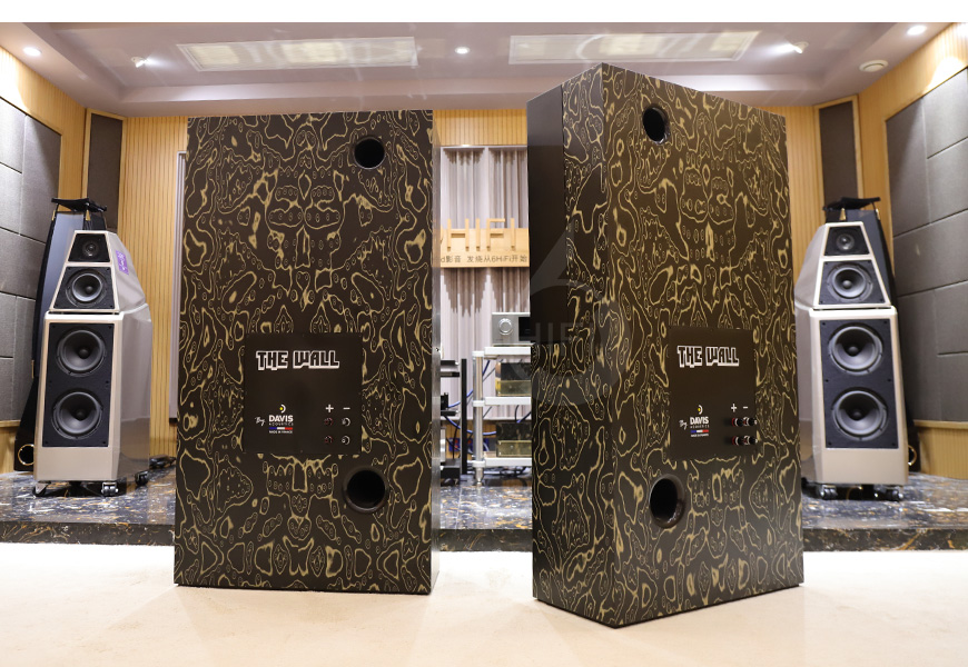 法国,Davis,戴维斯,The Wall,落地箱