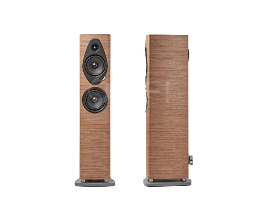 势霸Sonus faber Sonetto III G2 落地箱,Sonus faber Sonetto III G2,意大利 势霸Sonetto III G2,Sonetto III G2