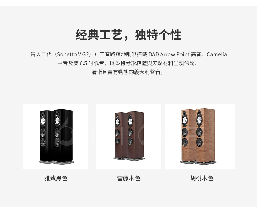 势霸Sonus faber Sonetto V G2 落地箱,Sonus faber 诗人5号2代 Sonetto V G2,势霸 Sonetto V G2,Sonus faber Sonetto V G2
